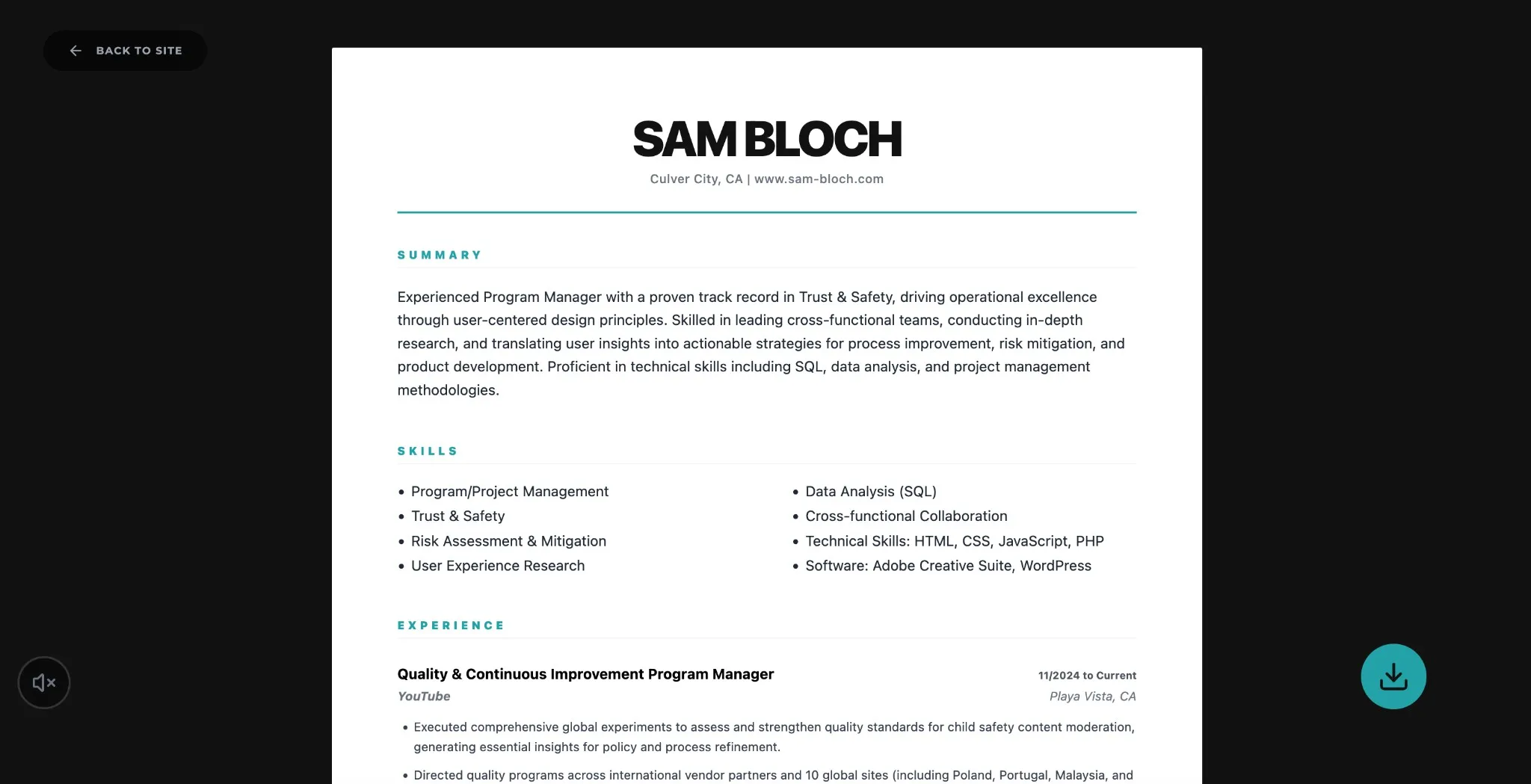 New portfolio resume